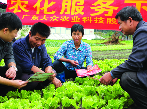 Application of 'tianshifu' soil conditioner to realize the dream of getting rich