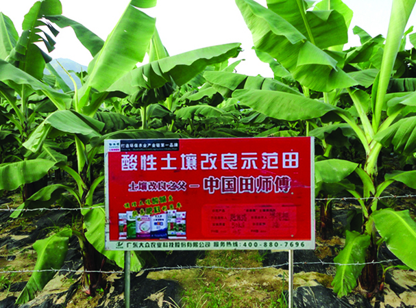 'tianshifu' soil conditioner Jiaoyuan guards